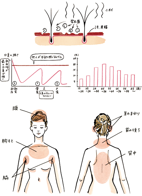 体の匂いが出る部位とグラフイラストです。