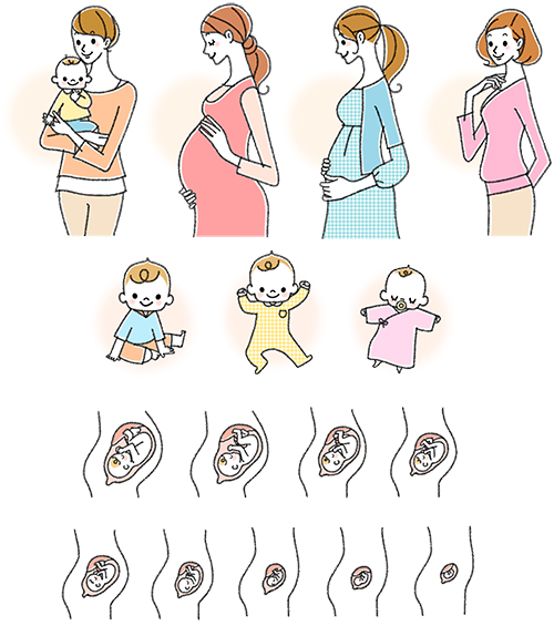 妊娠期別の女性4体人とお腹の中の赤ちゃん9ヵ月分と生後1、3、6ヵ月の赤ちゃんのイラストです。