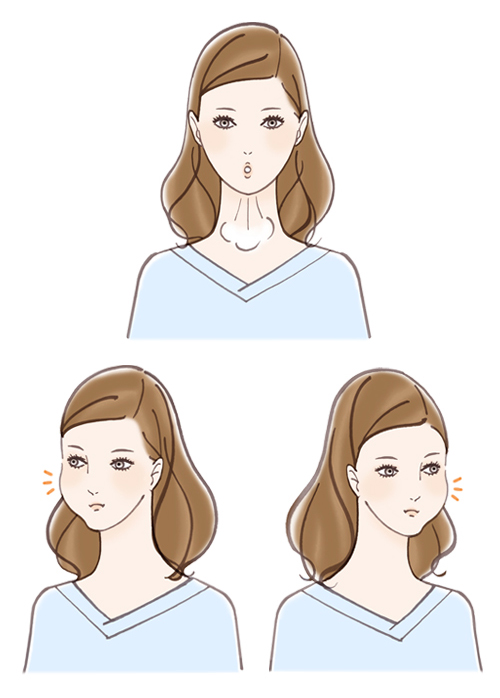 女性の顔イラスト