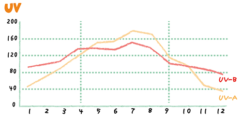 紫外線のグラフ