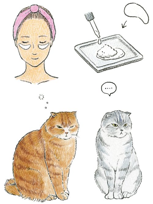 猫と女性