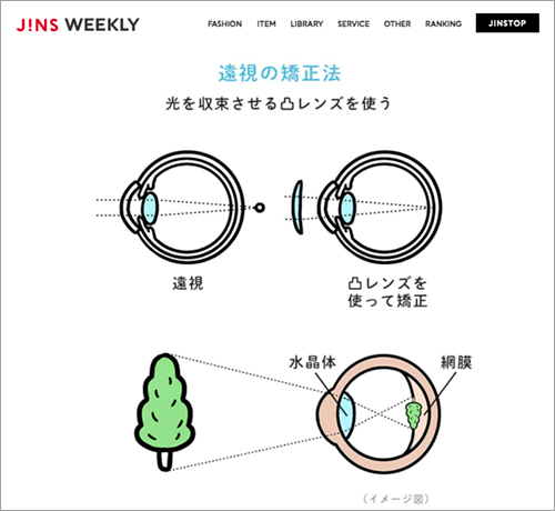 眼球の仕組みイラスト